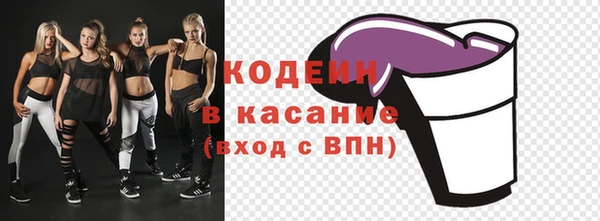 хмурый Михайловск