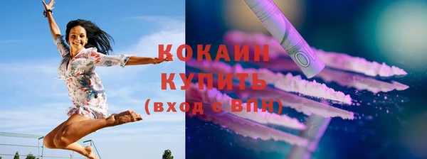 соль ск Михайлов
