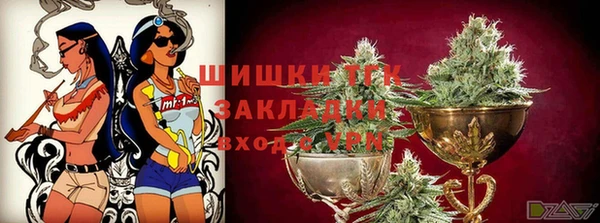 хмурый Михайловск