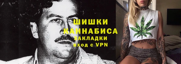 соль ск Михайлов