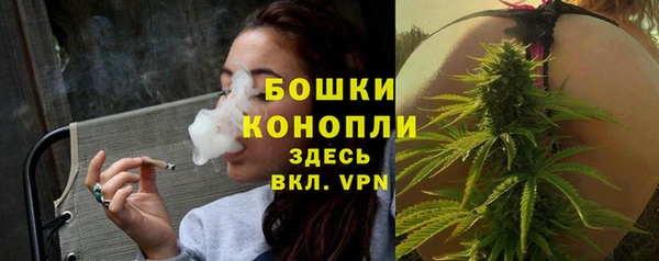 соль ск Михайлов