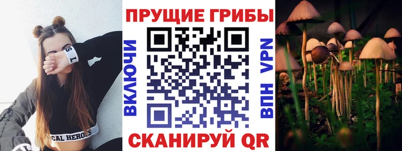 Псилоцибиновые грибы Psilocybe  магазин продажи наркотиков  Тавда 